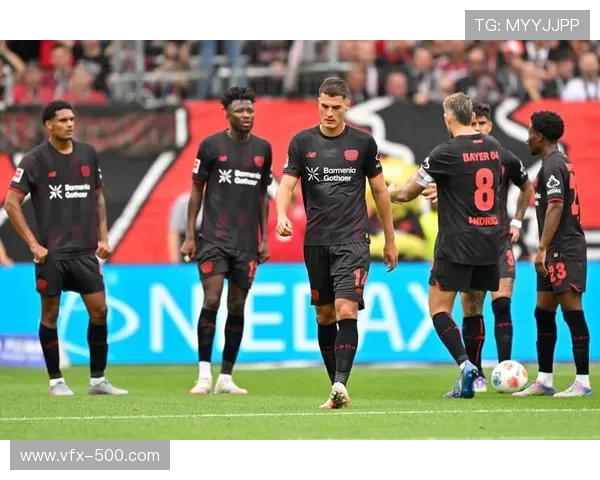 德甲赛季黑马:霍芬海姆不败背后的数据支撑 德甲赛季黑马:霍芬海姆不败背后的数据支撑